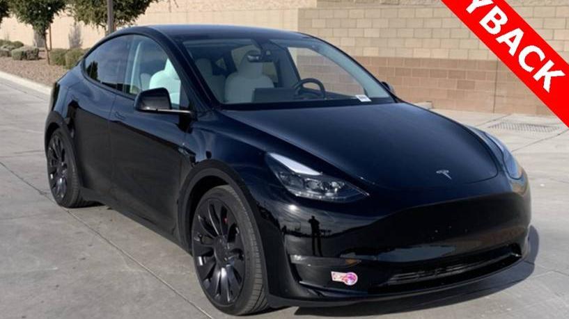 TESLA MODEL Y 2023 7SAYGDEF8PF745497 image